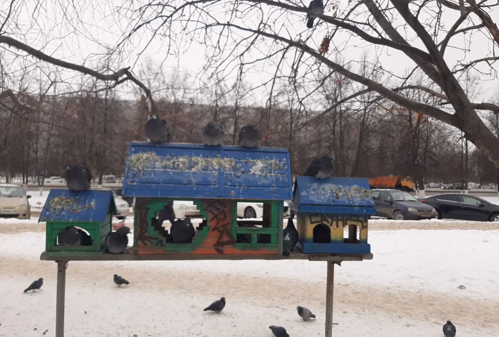 Весна идет! В Татарстане потеплеет до +4° С