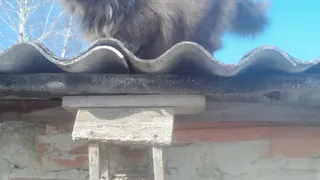 Весна всё-таки будет: в пятницу потеплеет до +8