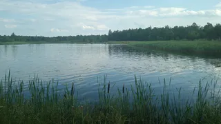 Из 39 пляжей Владимирской области только 6 получили разрешение на работу