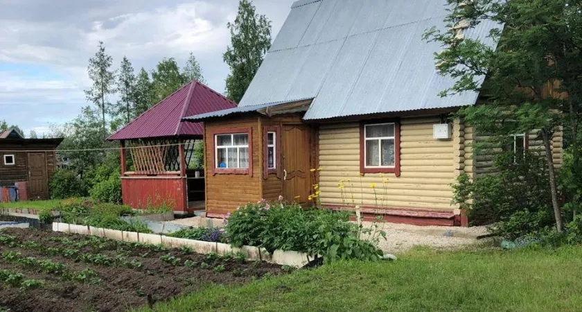 За мяту на даче придется заплатить: Дачников ждут огромные штрафы за мяту и шалфей