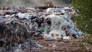 С владельцев турлатовской свалки требуют 24 миллиона - мусор сваливали и на соседнем чужом участке