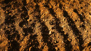 Из-за неправильного хранения отходов на племзаводе Владимирской области загрязнена почвы