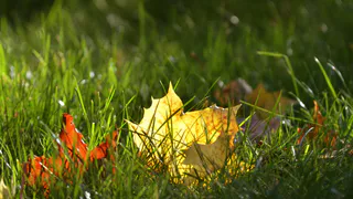 Прогноз погоды в Нижнекамске на понедельник, 29 сентября