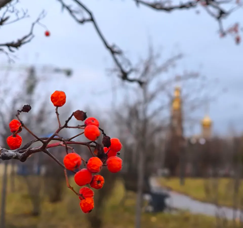 26 ноября в Нижнекамске будет пасмурно