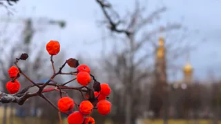 Погода в Нижнекамске на пятницу, 7 ноября