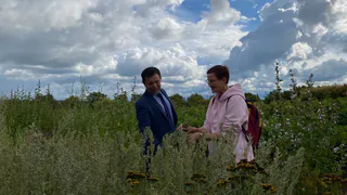 Банк и учёные Коми исследуют потенциал выращивания лекарственных растений на Севере