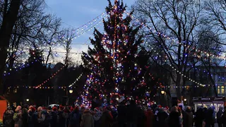 В Брянске открыли главную городскую елку