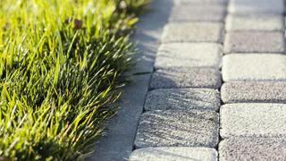 Сотрудники СКР помогли Оргтрудовскому дому-интернату в благоустройстве территории