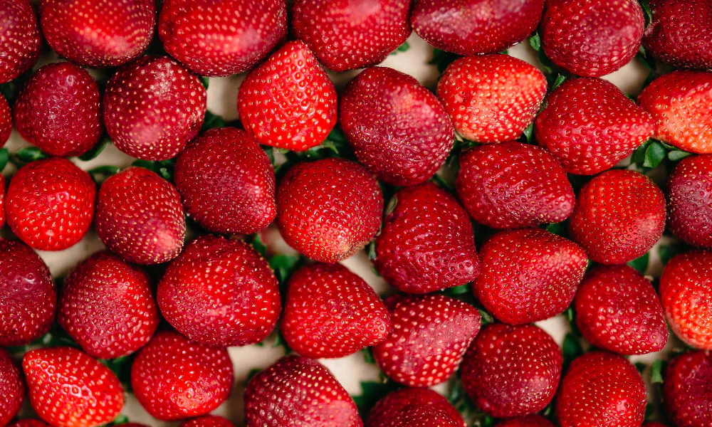 1 ложка и клубнику придется собирать ведрами