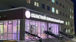 Во Владимирской области в 2023 году на свет появились 8500 малышей