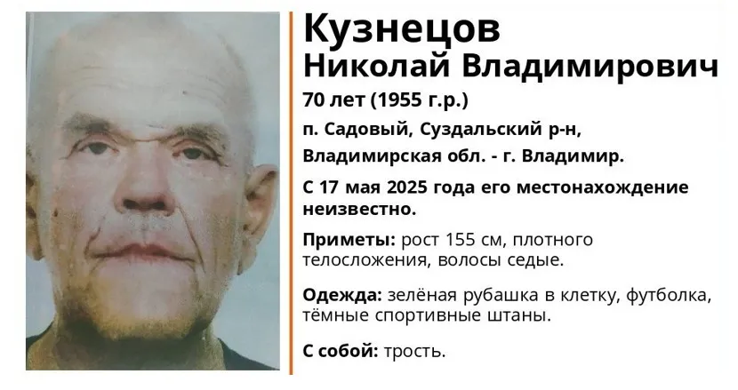 Под Суздалем пропал 70-лений пенсионер в зеленой клетчатой рубашке и с тростью