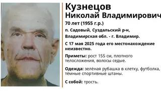 Под Суздалем пропал 70-лений пенсионер в зеленой клетчатой рубашке и с тростью