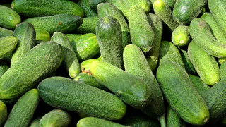 Перед посевом огурцов делаю это с семенами — всходят дружно и дают ранний урожай