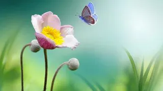 Синоптики сообщили, каким будут в России остаток весны и лето