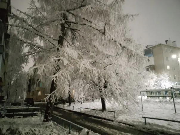Челябинская область готовится к зимней сказке: снегопады накроют регион уже на следующей неделе