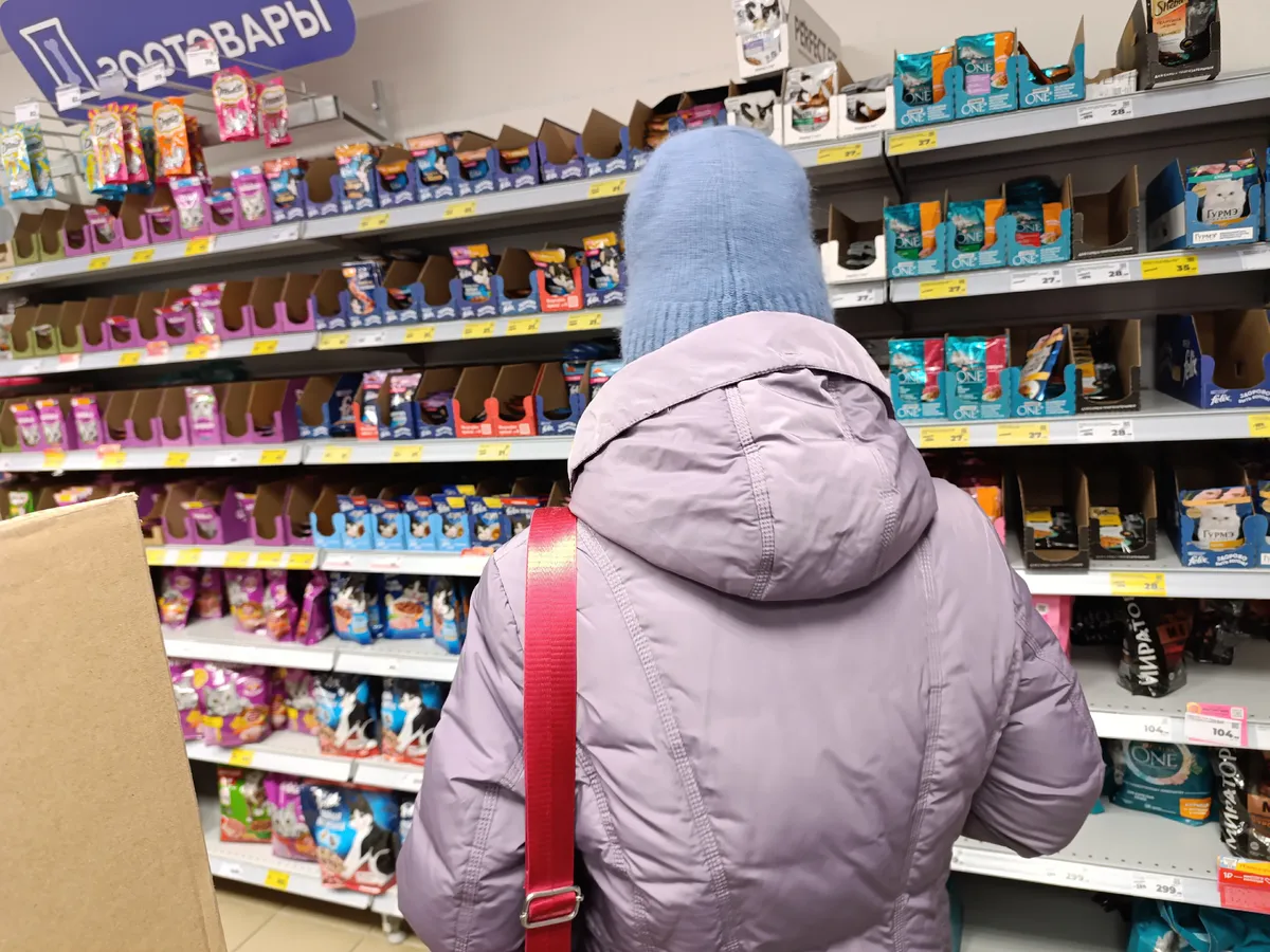 "Не травите этим кошек": в Роскачестве указали на худшие марки корма для питомцев