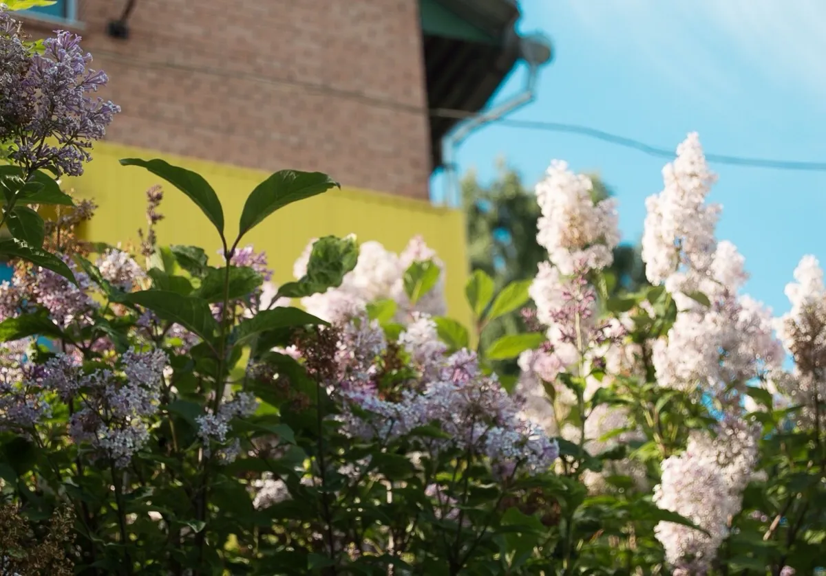 "Мир упадет к их ногам": Близнецам предсказали невероятную неделю со 2 по 8 июня