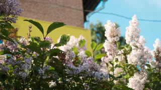 "Мир упадет к их ногам": Близнецам предсказали невероятную неделю со 2 по 8 июня