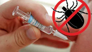 Важно знать: нижнекамцев начали прививать от клещевого энцефалита