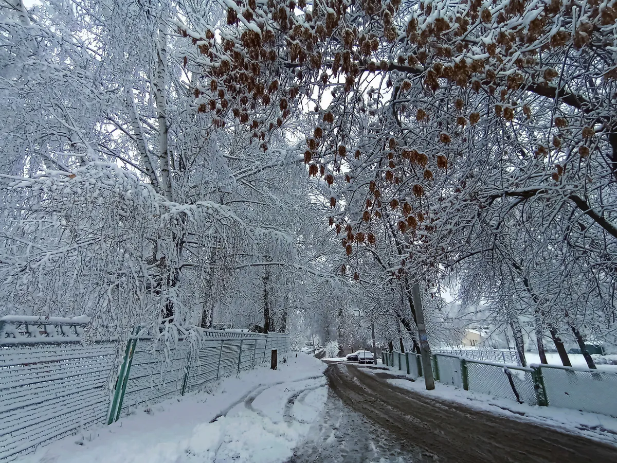 Участниками «Лыжни России» стали свыше 2000 жителей Пензы