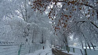 До предсказанного зимнего армагеддона осталось меньше 24 часов: синоптики обещают резкий скачок сразу «на минус 20»