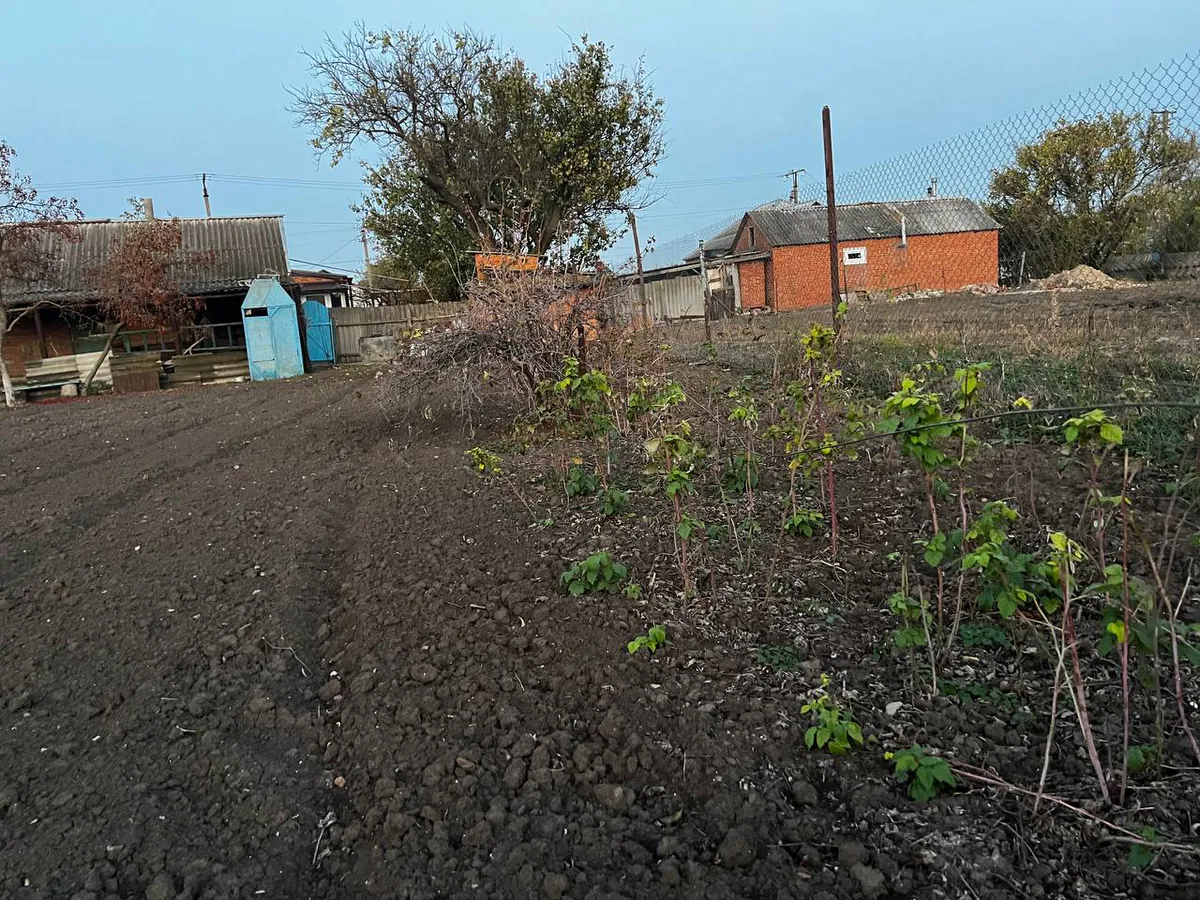 С мая будут полностью запрещены компостные кучи: всех дачников ждет неприятное нововведение