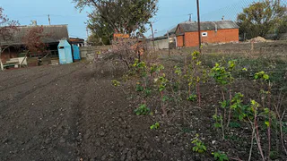 С мая будут полностью запрещены компостные кучи: всех дачников ждет неприятное нововведение