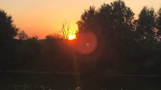 В рязанском пруду обнаружили труп рыбака