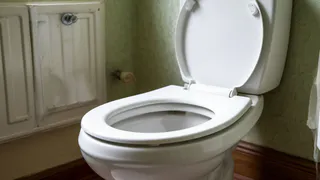 После одного случая всегда опускаю крышку унитаза и вам советую: почему нельзя оставлять открытым