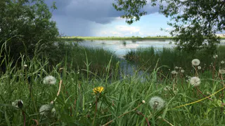 12 июня День России - какой будет погода в Рязани?