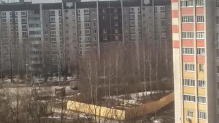 Жители улицы Новоселов создали петицию против застройки березового сквера