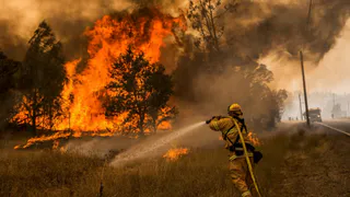 Малков рассказал о локализации лесных пожаров в Рязанской области