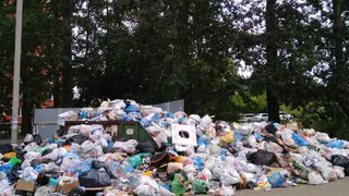 Возле новостройки на Михайловском шоссе образовалась свалка мусора