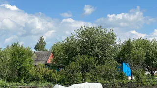 За картошку на даче - штраф. Новое правило с 11 июня. Люди лишились дара речи из-за нового правила