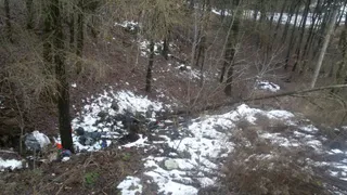 Жители поселка Супонево жалуются на многолетнюю свалку