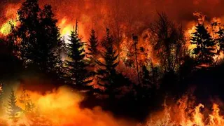 Синоптики радуются дождям