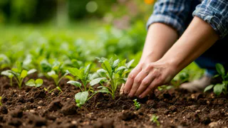 Эти овощи нужно успеть посеять до конца мая! Лайфхак для холодной весны — работает на 100%