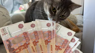 За год 10 семейных ферм получили почти 95 миллионов руб. субсидий в Рязанской области