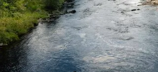 Новый федеральный проект «Вода России» во Владимирской области