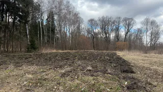 Компания получила штраф в 400 тысяч рублей за заброшенный участок в Рязани