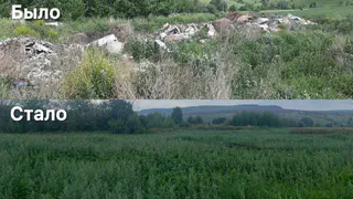 В Бегишево чисто: свалка ликвидирована