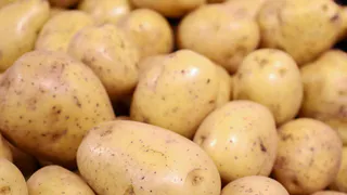 Приобрел бюджетную картошку в "Светофоре" и сопоставил с домашней с грядки: итоги эксперимента 1:1