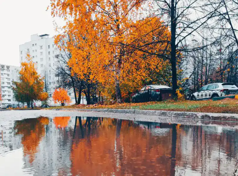 9 сентября в Нижнекамске немного похолодает