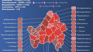За сутки коронавирус унес жизни 19 брянцев