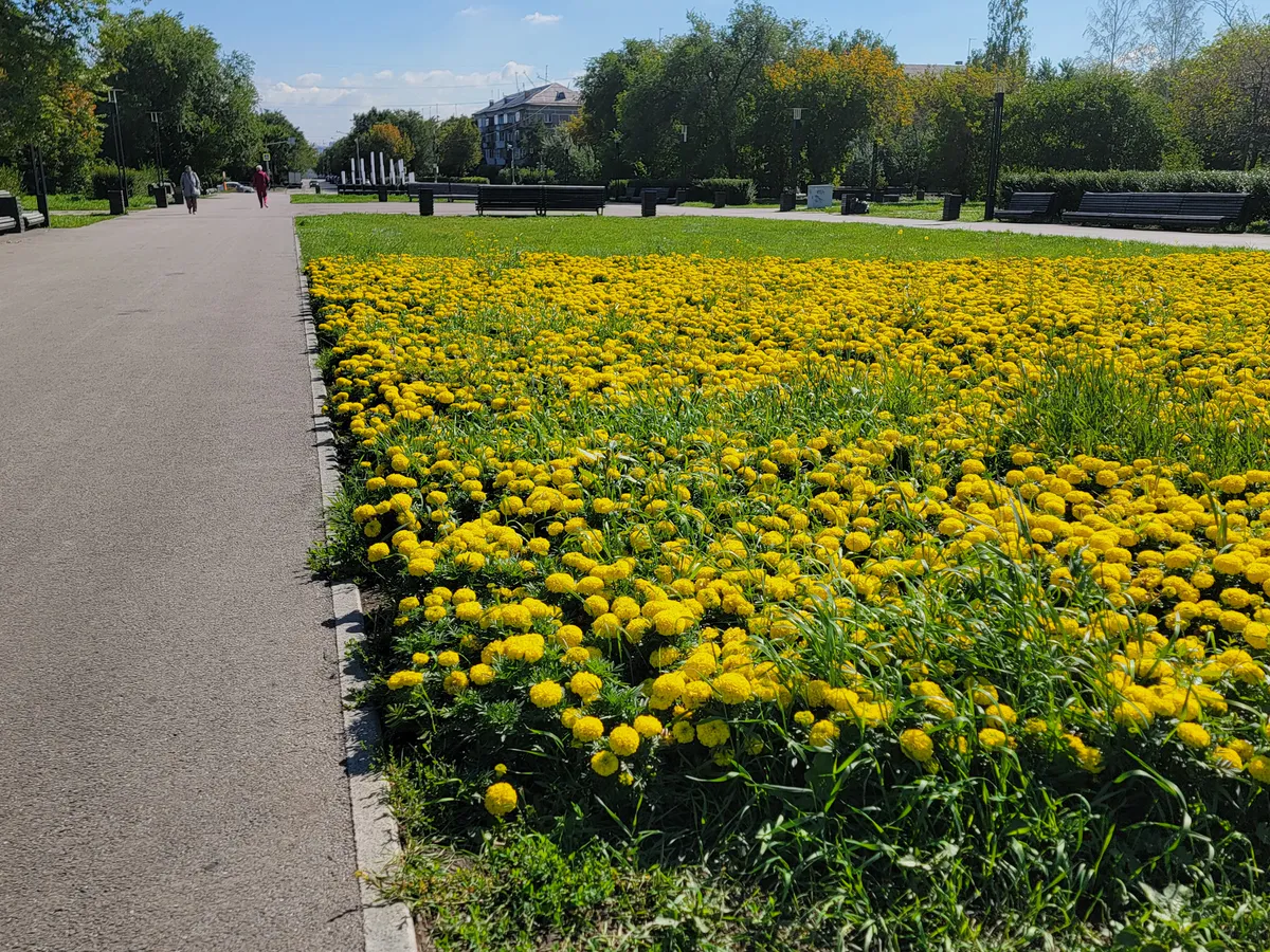 В Магнитогорске активно преображают парковые зоны