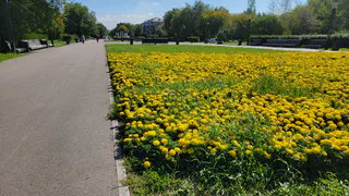 В Магнитогорске активно преображают парковые зоны