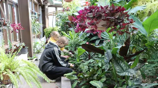 Во Владимире для подростков открыли летние вакансии с зарплатой