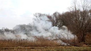 Под Рязанью дымятся торфяники