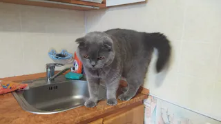 Утром 12 января масштабная авария оставила без воды три микрорайона в Скопине