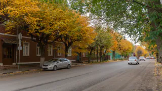 Деревянные дома и зелень: Варламов назвал Садовую одной из самых красивых улиц России